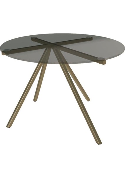 Ray 60 Bronz Cam Tablalı Metal Yuvarlak Yan Sehpa fiyatları