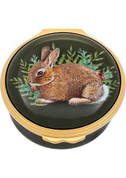 Woodland Wildlife Rabbit Emaye Kutu