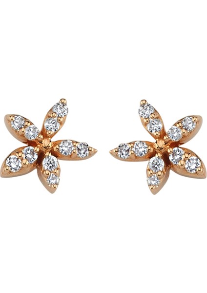 Apple Seed Kadın Altın Küpe