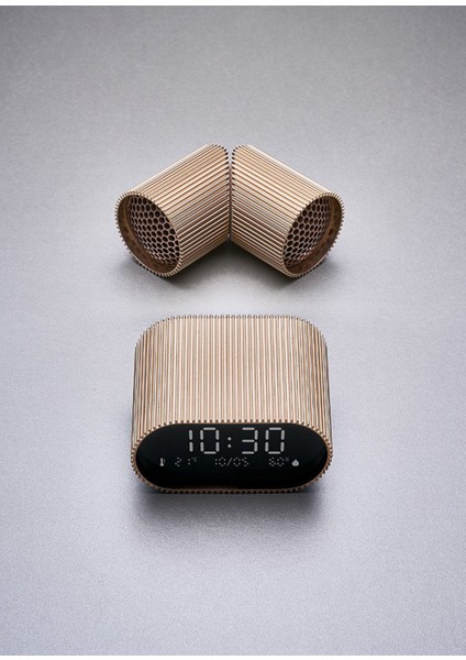 Ray Altın Rengi Bluetooth Hoparlör fiyatları