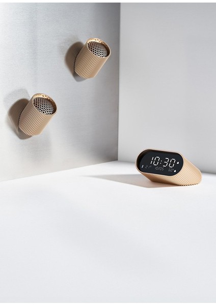 Ray Altın Rengi Bluetooth Hoparlör modelleri