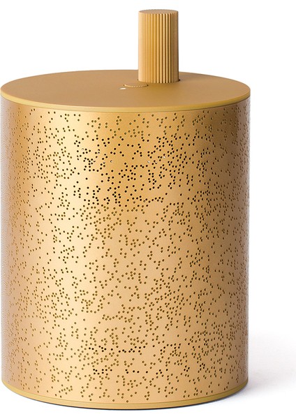 Cylindre Altın Rengi Bluetooth Hoparlör