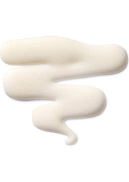 The Leave-In Hair Treatment 100ML fırsatları