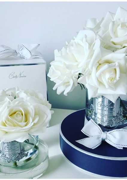 5 Güllü Oda Kokusu fiyatları