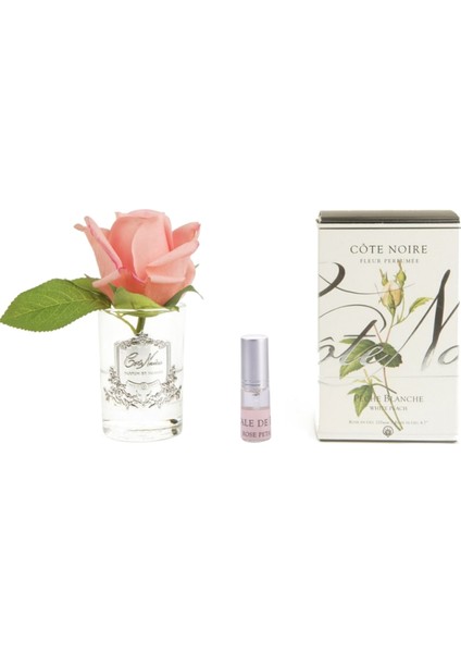 Turuncu Güllü Oda Kokusu 120 ml