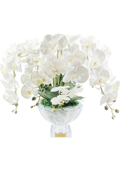Luxury Centerpiece Beyaz Orkide Koku