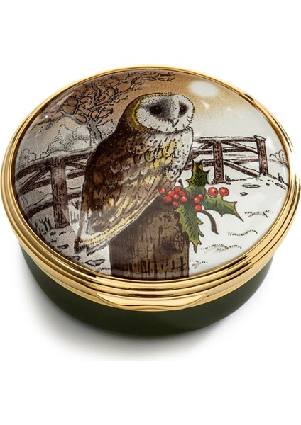 Christmas Owl Çok Renkli Dekoratif Kutu