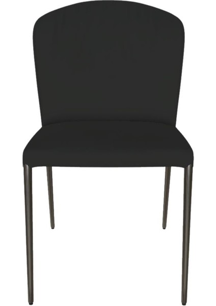 Grace Silver Kolsuz Sandalye