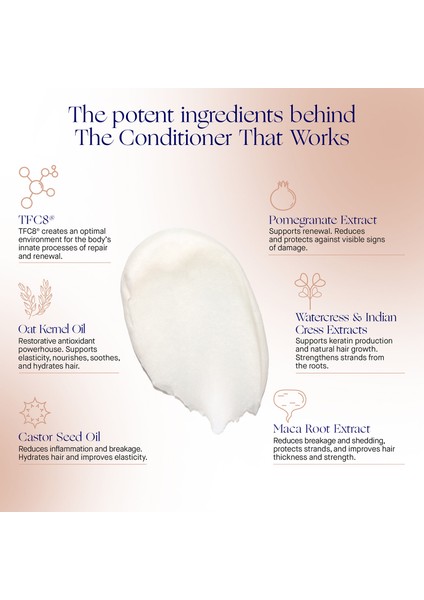 The Conditioner 150ML indirimleri