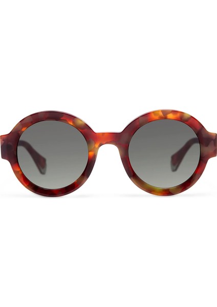 Laura 6454 15 Havana Asetat Kadın Güneş Gözlüğü fiyatları