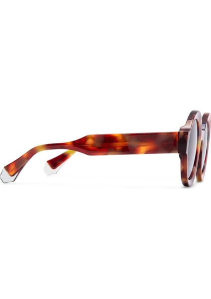 Laura 6454 15 Havana Asetat Kadın Güneş Gözlüğü fırsatları