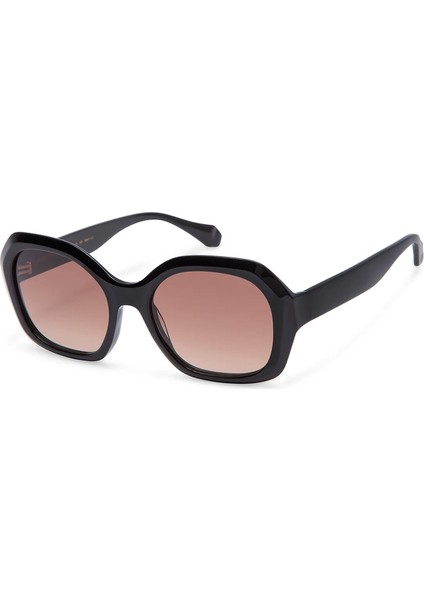 Zenaida 6936 1 Siyah Asetat Kadın Güneş Gözlüğü