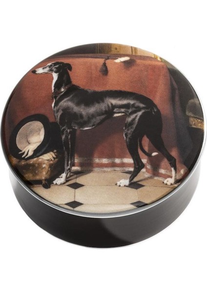 Rc Eos By Sir Edwin Landseer Dekoratif Kutu