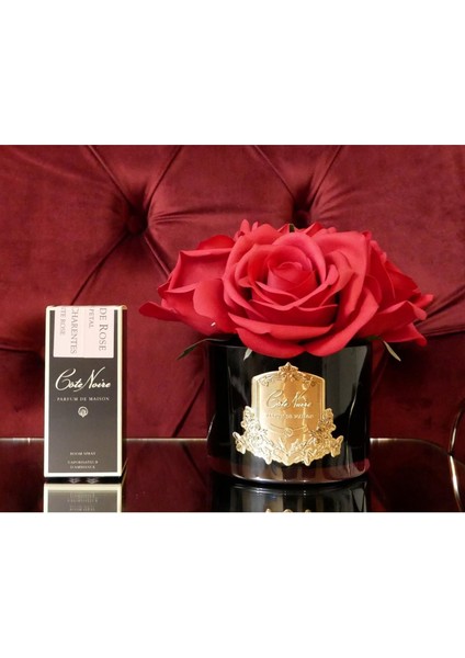 5 Güllü Kırmızı Siyah Koku fiyatları