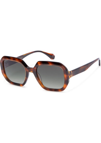 Larisa 6937 2 Havana Asetat Kadın Güneş Gözlüğü
