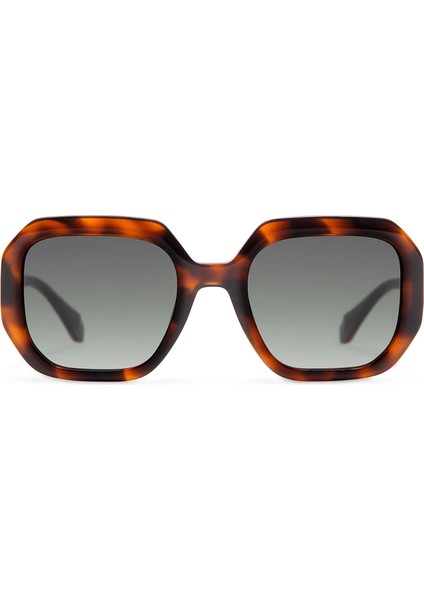 Larisa 6937 2 Havana Asetat Kadın Güneş Gözlüğü fiyatları