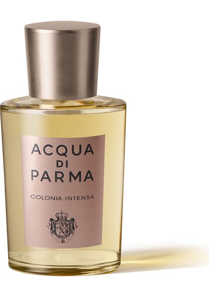 Colonia Intensa EDC 100 ml Erkek Parfüm