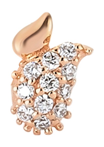 Paw Elips Formlu Kadın Altın Kıkırdak Küpesi