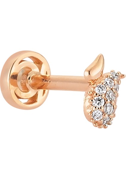 Paw Elips Formlu Kadın Altın Kıkırdak Küpesi fiyatları