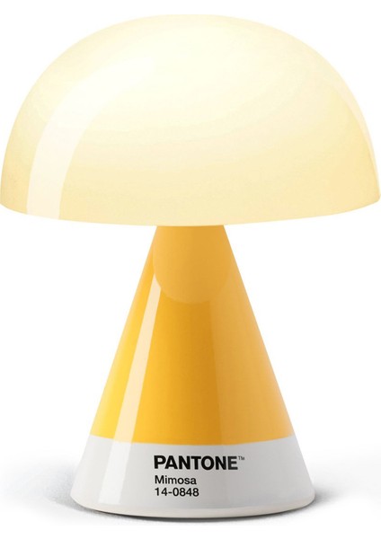 x Pantone Mina Sarı Orta Boy LED Masa Lambası