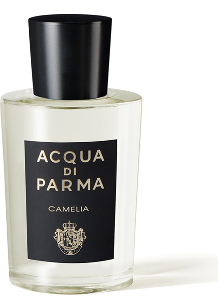 Signature camelia Edp 100ML