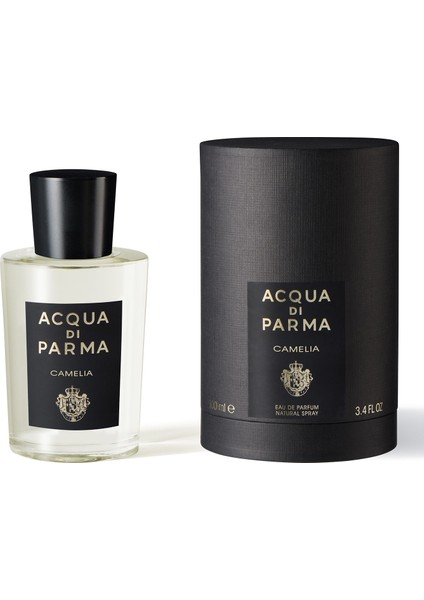 Signature camelia Edp 100ML fiyatları