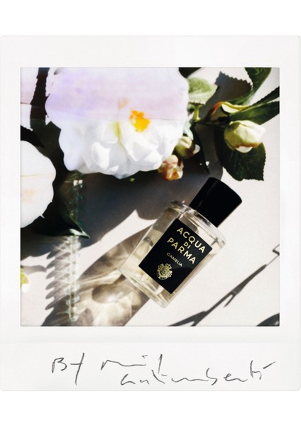 Signature camelia Edp 100ML modelleri
