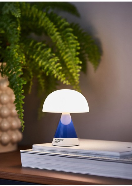 x Pantone Mina Mavi Orta Boy LED Masa Lambası fiyatları
