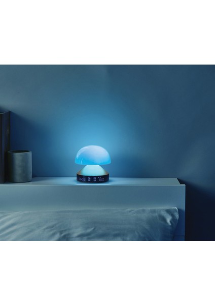 Mina Sunrise Alüminyum Gümüş Rengi Alarm Saatli Gün Işığı Simulatörü Aydınlatma fiyatları