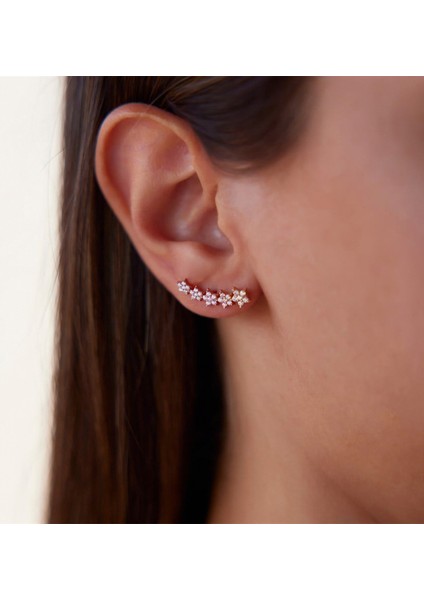 Sıralı Yıldızlar Rose 14 Ayar Altın Kadın Küpe fiyatları