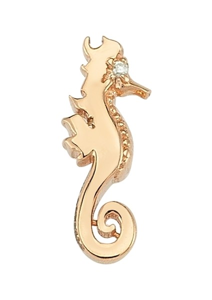 Aqua Light Kadın Altın Küpe fiyatları