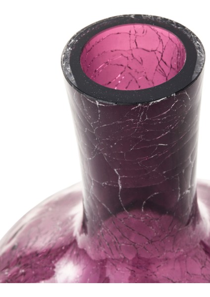 Ball Body Mor Cam Vazo fırsatları