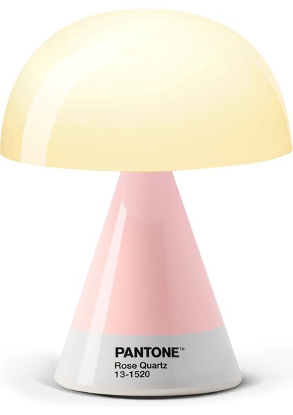 x Pantone Mina Pembe Orta Boy LED Masa Lambası