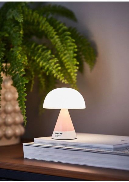 x Pantone Mina Pembe Orta Boy LED Masa Lambası fiyatları