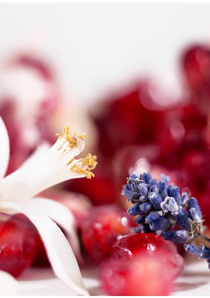 Libre 30 ml Saç Parfümü fırsatları