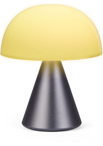 Mina Gri Orta Boy LED Masa Lambası modelleri