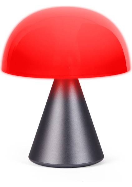 Mina Gri Orta Boy LED Masa Lambası fırsatları