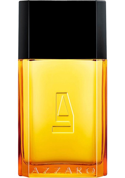 Pour Homme Edt 100 ml Erkek Parfüm