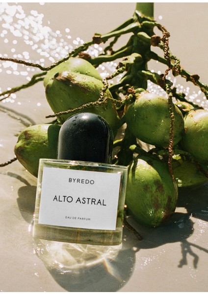 Alto Astral Edp 100 ml Unisex Parfüm modelleri