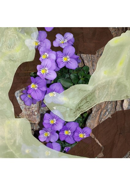 1996 Edp 50 ml Unisex Parfüm fırsatları