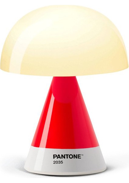 x Pantone Mina Kırmızı Orta Boy LED Masa Lambası