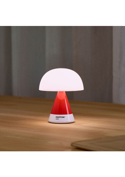 x Pantone Mina Kırmızı Orta Boy LED Masa Lambası fiyatları