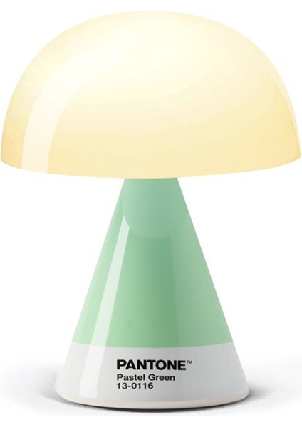 x Pantone Mina Mint Orta Boy LED Masa Lambası