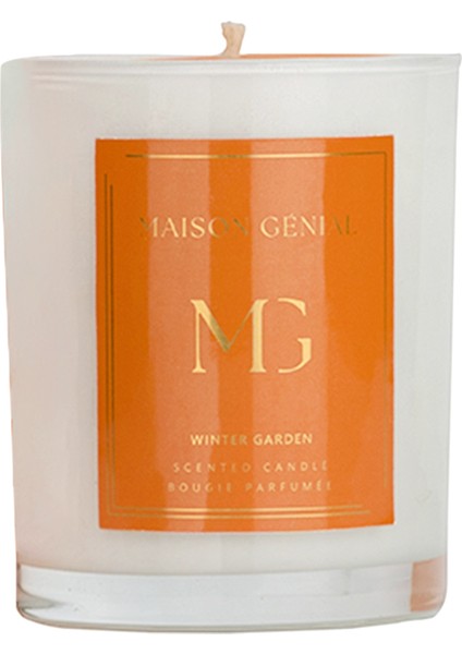 Luxury Winter Garden Turuncu Orta Boy Mum 210 G fiyatları