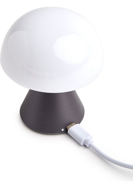 Mina Gri LED Masa Lambası modelleri