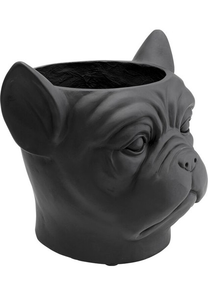 Bulldog Siyah Saksı fiyatları