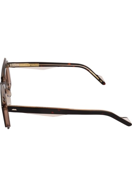 Gloss Double Gd 01 Havana Rose Asetat Unisex Güneş Gözlüğü modelleri