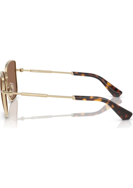 Kahverengi Kadın Güneş Gözlüğü fırsatları