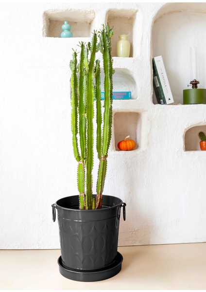 Prizma Siyah Saksı 33 cm modelleri