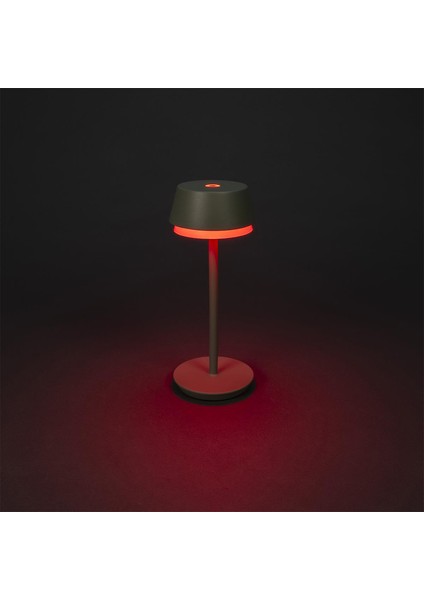 Wo Lyon USB Alüminyum Yeşil Masa Lambası modelleri